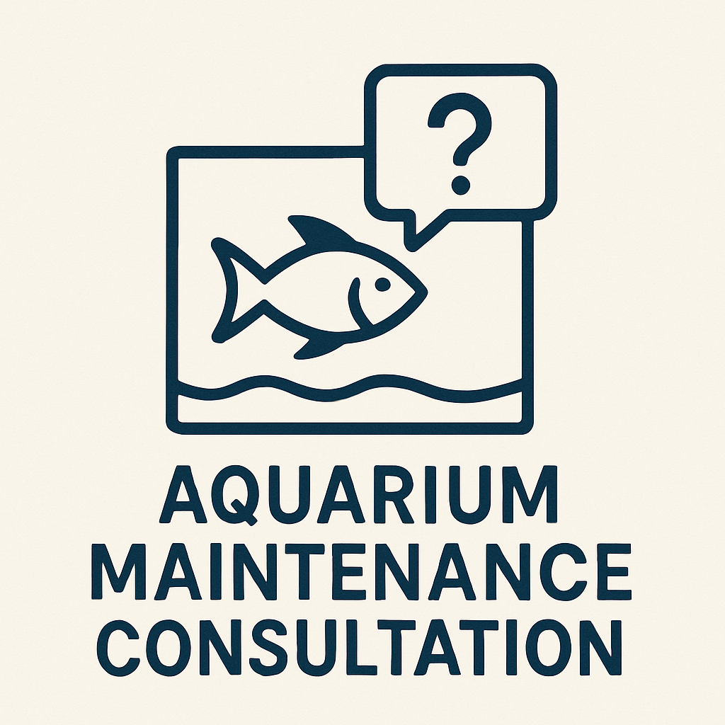 Maintenance Consultation