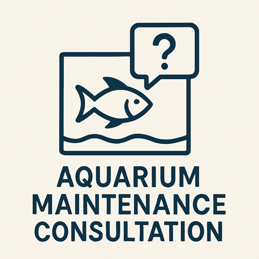 Maintenance Consultation